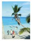 paradiesssssssssurf